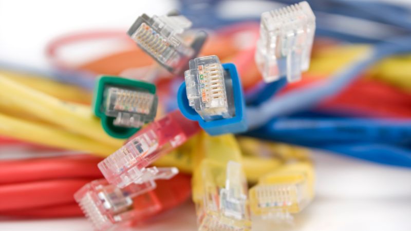 Close-up of clustered, multicolored Ethernet cables with connectors facing the camera.